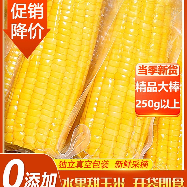 水果玉米免煮开袋即食真空锁鲜大棒甜玉米学生低脂早餐食品