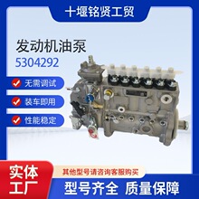 �m��춖|�L����˹�l�әC��� 6CTA9.3-C215 ȼ�͇����C5304292