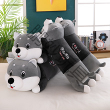 ��ʿ�湫��ë�q��ߴ�̖�����L�l˯�X����A�Ȳ����޾W�t��ż���l