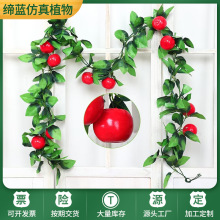 ����ˮ���ٗl�F؛ ���{�ܵ��bGֲ���߲˷���ˮ���ٗl�����~��