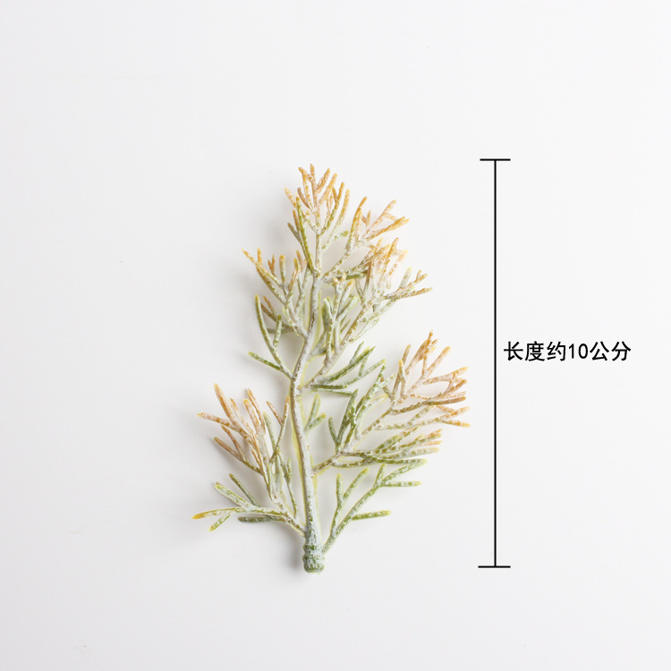 가을 tw-5