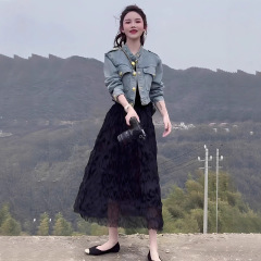 欧货高级感时尚气质网纱半身裙女2025早秋高腰显瘦大摆蛋糕蓬蓬裙