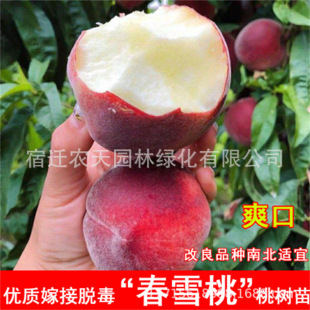 ���A�Ҙ�������Ҙ�������27̖���ҳ�����33-20�S���Ϸ�ͥԺ�Nֲ