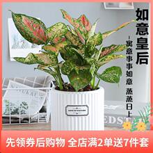 ����ʺ�����ֲ���k���҃ȿ͏d����ˮ��С�Gֲ�����t����ϲ�c����