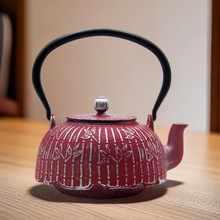 外贸彩色铸铁壶欧美风养生煮水泡茶壶家用亮光釉面搪瓷涂层铁茶壶