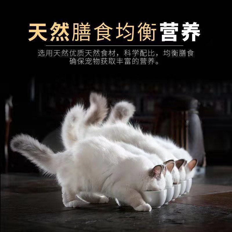 44b3af44-cd02-4c79-ab8b-8cc8c253100b.jpe