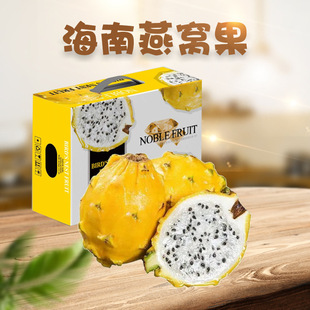 ������C�� ���l1/5������������r�SƤ�������خa�����ЋDˮ��