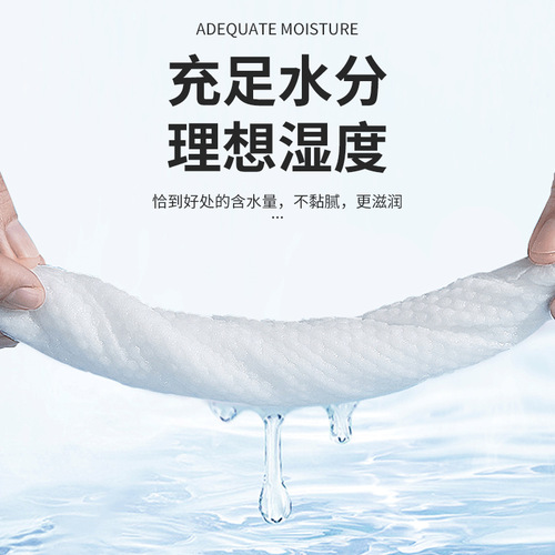 Pet dog cat eye and ear cleaning wipes pet dog eye cleaning dirt wipes factory wholesale