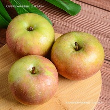 光苹果老式东北瓦房店当季小光批发果光酸甜口感包邮其他批发