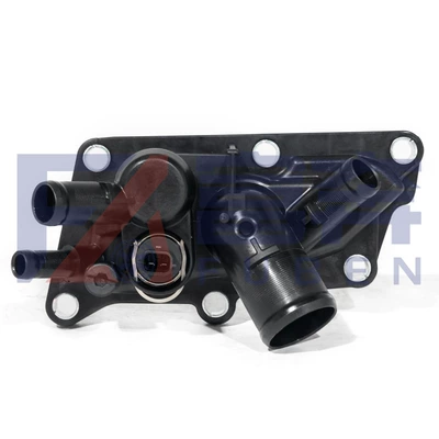 110618961R 110616875R Thermostat