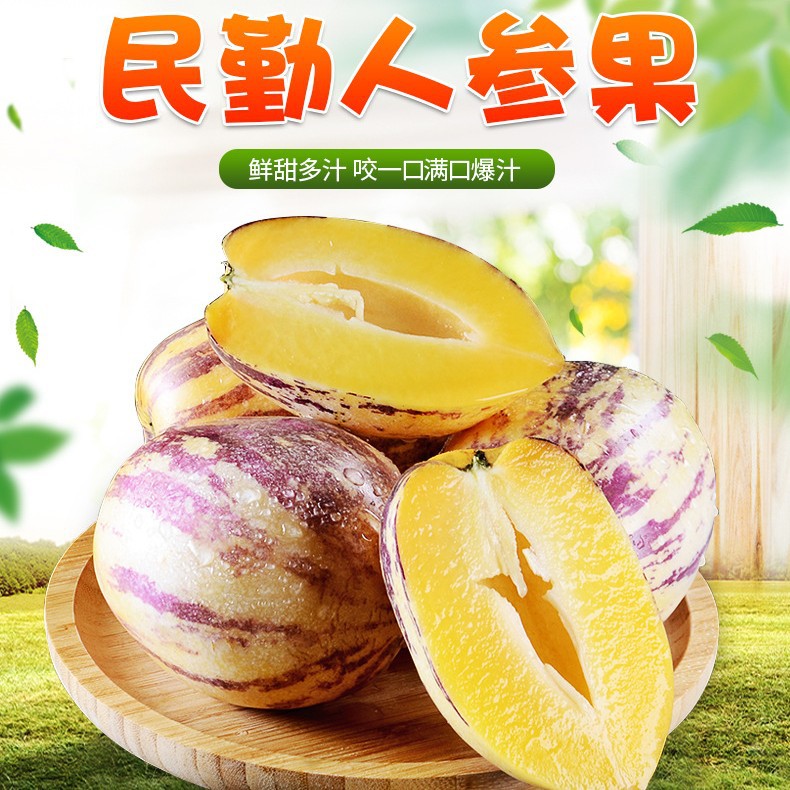 【严选】民勤人参果 大果清香多汁 低糖水果 长寿果 人参果代发