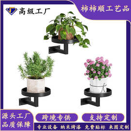 亚马逊3件装壁挂式植物架，植物框架墙面装饰 室外圆形展示架悬挂