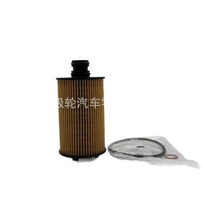 6711803009 F026407154: Shuanglong Oil filter