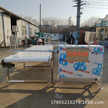 无矾粉条生产线 直杆模具红薯宽粉机 小型地瓜粉条机不占地方