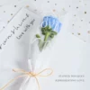 Blue pack, Pilsan Play Car, roses