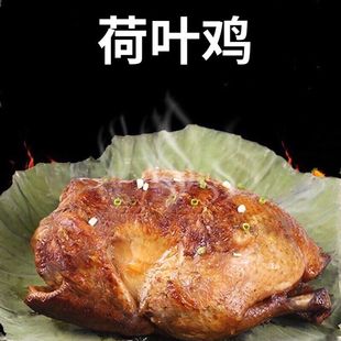 ���~�u�л��u���ڟ��u���u�����u������հ��b��ʳ�uζ��ʳ���R�d