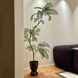 森空间仿真绿植装饰蓝花楹落地盆栽软装好物原木风格大型假树植物