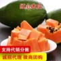 广西精品热带新鲜水果