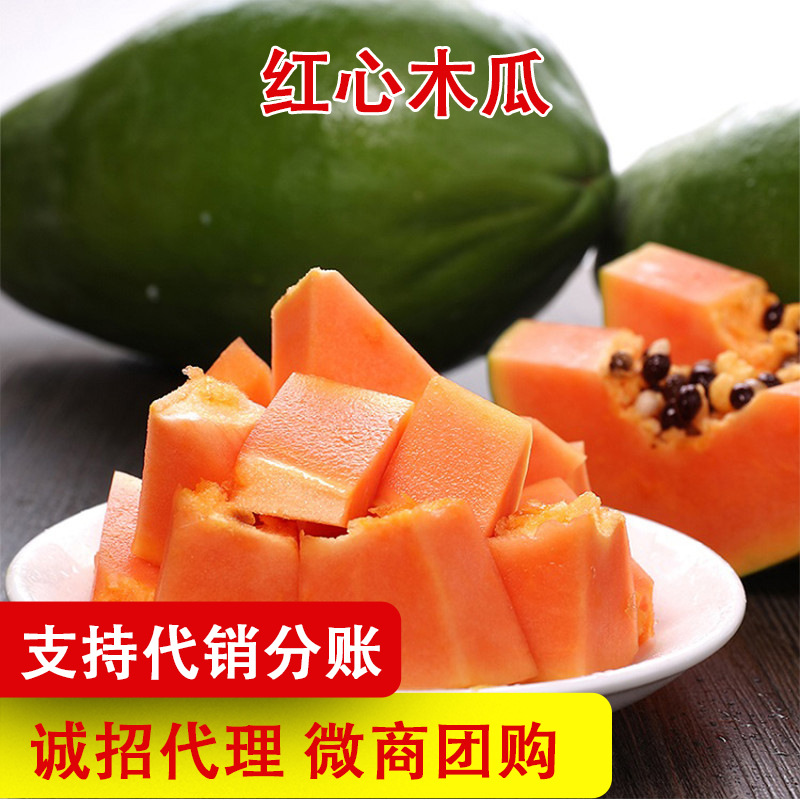 Guangxi rock sugar red-flesh papaya whole box 10 jin fresh seasonal tropical fruit old tree premium large milk papaya
