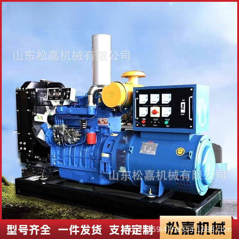 Fuente de alimentación de reserva para el sitio de construcción del almacén de refrigeración de motor de cobre puro del grupo generador diesel de alta potencia trifásico