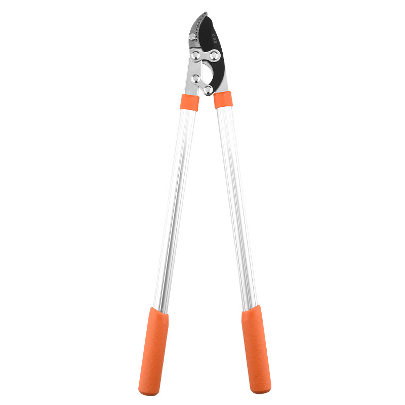 14825849777_1648187941