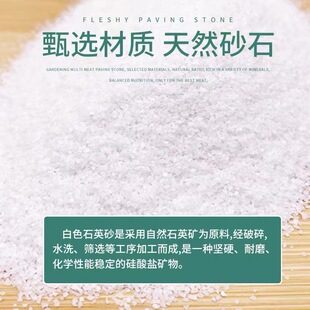 ������ƺ���ɰ20-40Ŀˮ̎�퇊ɰ���PʯӢɰʯӢ�۲�ƺ���ɳ��