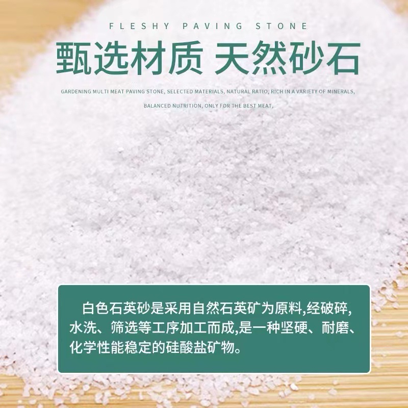 盛世净水酸洗石英砂 高硬度 滤料 草坪填充砂 喷砂除锈专用厂家