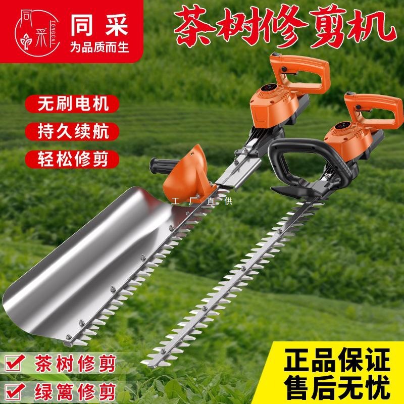 进口24-48伏电动绿篱机充电式绿化带茶树修剪机修背负式单刃双刃