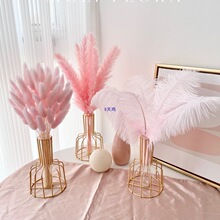 �p�ݷ�ɫ�JȔ��β�ݸɻ������[���滨��Ȼ�L���b��W�͏d�[�O