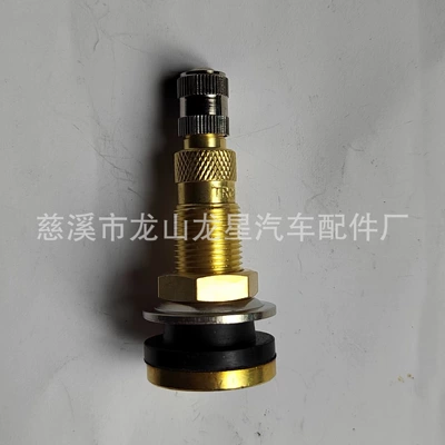 TR618A vacuum tire valve - tr618a-with-silver-copper-round-cap