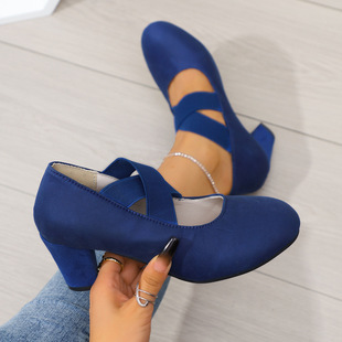 Foreign Trade 2025 New Single Shoes Women's Retro Mary Jane Shoes Thick Heeled Round Toe plus size Cross-border Women's Shoes