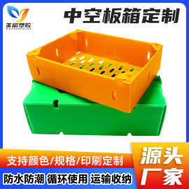 厂家批发PP中空板箱包装盒加厚型果蔬运输盒防潮抗压中空板周转箱