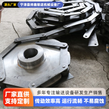 304P朗l Ip朆pŶ̹L朏S