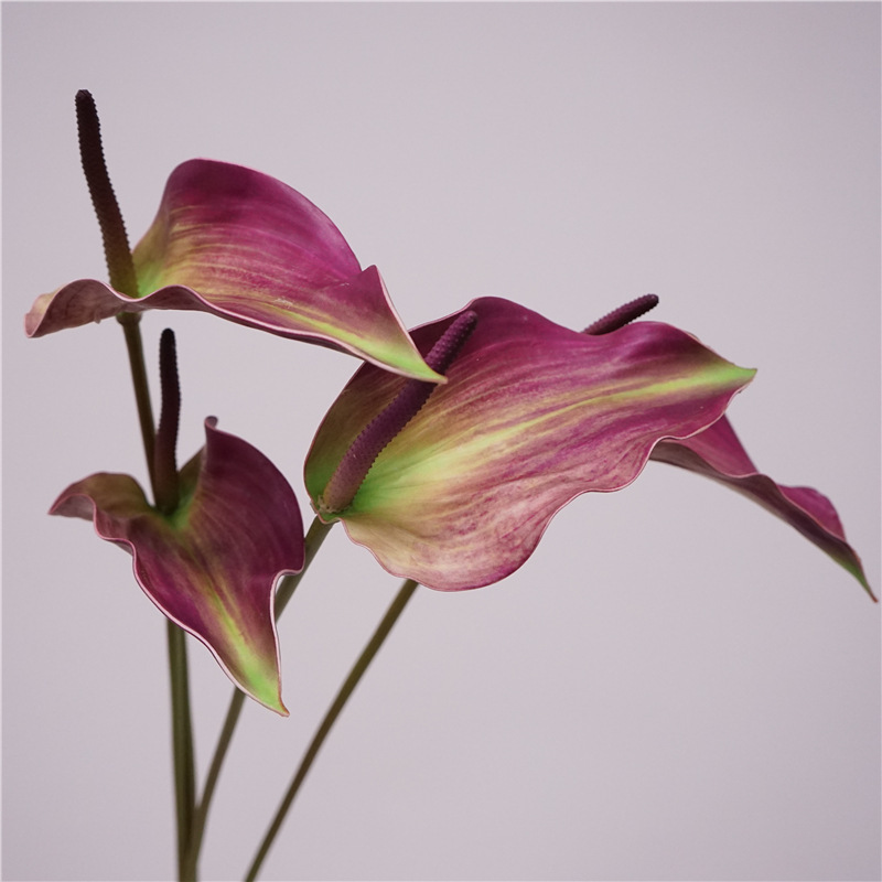 high quality feel moisturizing Guanyinlian red palm soft glue goose palm Morandi floral design with flower photography props high quality feel moisturizing Guanyinlian red palm soft glue goose palm Morandi floral design with flower photography props
