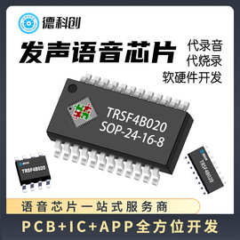 硕呈TRSF4B020A FLASH语音IC 发声类产品芯片 玩具音乐IC  语音播