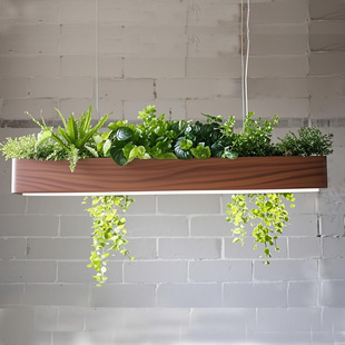 ֲ��͏d�������������W���͏d��̨ꖹⷿ����Gֲ���s������