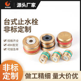 非标台式模具止水栓滚花水柱塞耐高温内六角分水器堵头堵帽铜喉塞