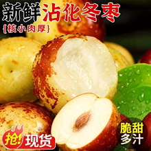 沾化冬枣枣子5斤正宗脆甜牛奶青枣冰糖整箱新鲜水果现摘产地直发