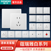 SIEMENS/T_PNϵŰɫԴp_P