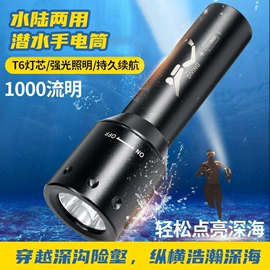 手电筒;头灯头戴电筒;提灯