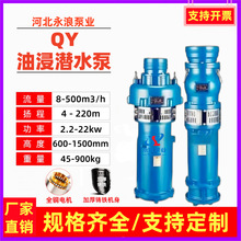 �F؛ֱ�NQY�ͽ�ʽ��ˮ��380V����ߓP�̴������r���Ȍ��ñ�