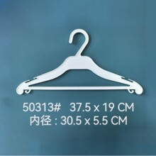 50313#
