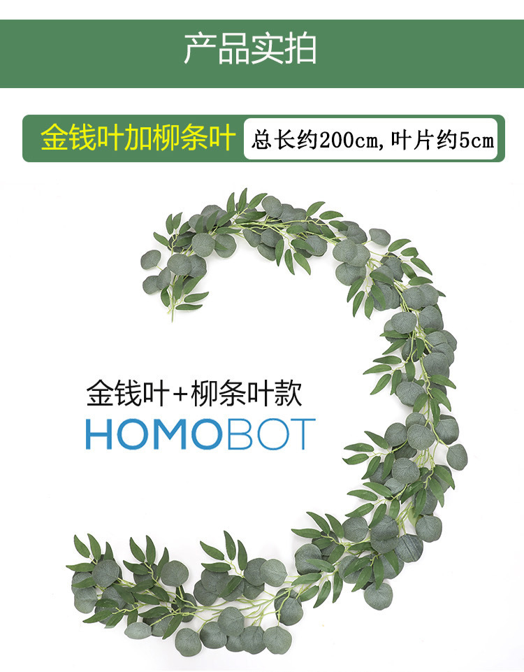 尤加利藤条