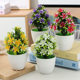 Simulation Five-leaf Plum Potted Home Living Room Decoration Desktop Decoration Green Plant Fake Bonsai Decoration Props Cross-border Hot Sale