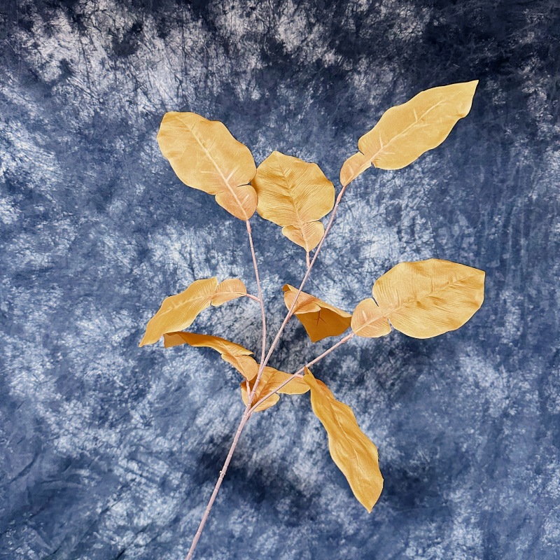 Grapefruit leaves-autumn yellow