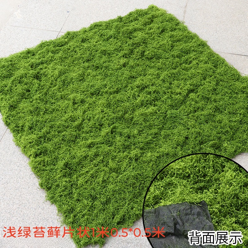 Light green outdoor filamentous moss turf 0.5*0.5 meters per piece