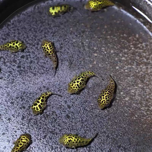 �����^�p�~�����޵�ˮСС������Ķ��Ӻ��B�ͻ��ɿ�������������