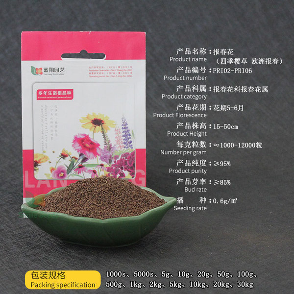 Baochunhua seeds perennially staying at the root balcony potted four…