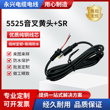 DC�Դ�� 5525�����S�^�Pӛ���{�������Դ���Ƅ�DVD��늾�