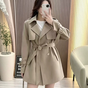 ���L���L��Ů�����¿���|Ӣ���r���L�p�ſ����e--����С��������